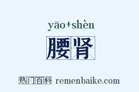 腰肾是什么意思的图片
